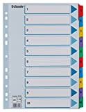 ESSELTE 100161 - Indice para carpetas multitaladro cartón MYLAR DIN A4 con cartulina índice color 1-10 multicolor, Blanco
