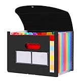 Diboniur Carpeta Acordeón A4 Carpeta Clasificadora, Expandible Archivos Organizador de 12 Bolsillos, Portátil Carpeta Separadores Documentos Archivadores para Oficina Escuela (Negro)
