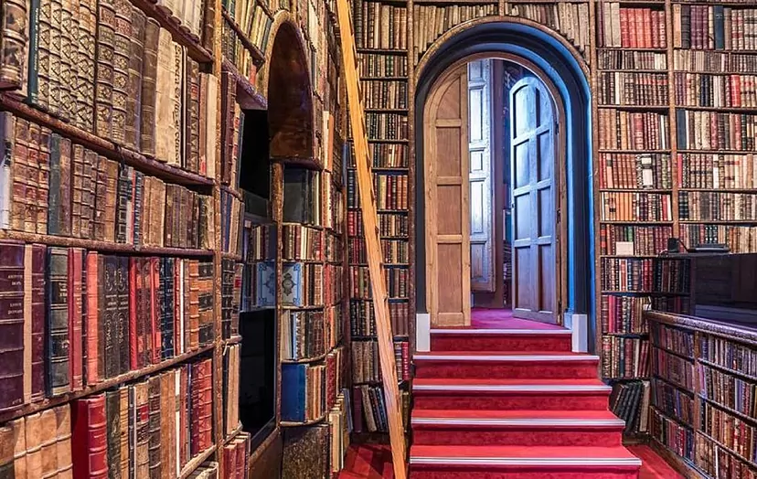 Librerías En Gómez Palacio