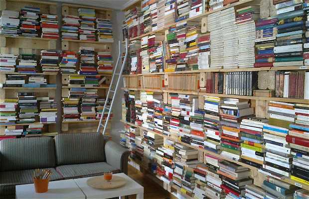 Librerías En Lagos De Moreno