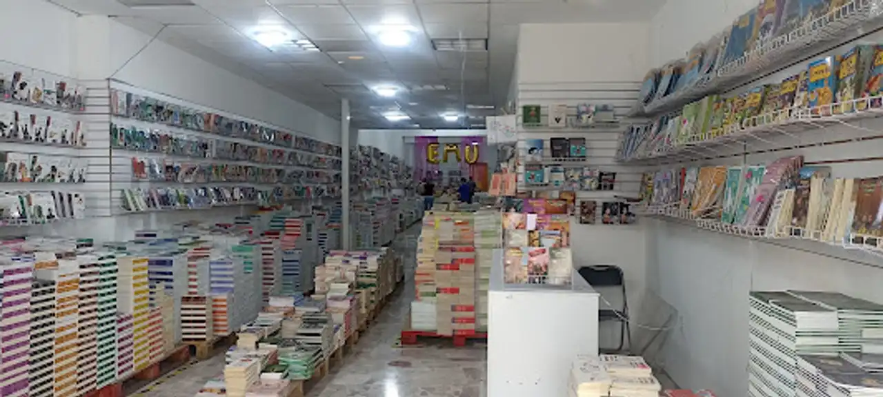 Librerías En Querétaro