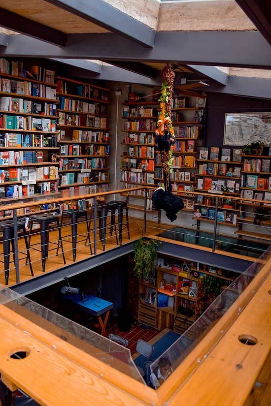 Librerías En Xalapa