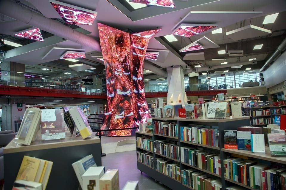Librerías En Zapopan